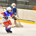 Výsledkový servis mládeže – 48. týden
